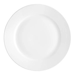 dinner plate 10.5